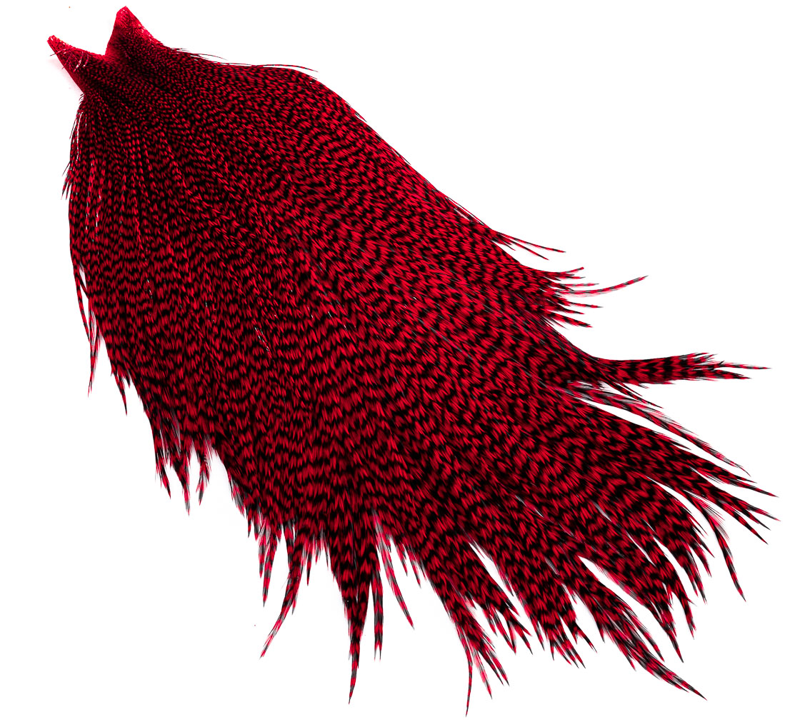 P-15934_GrRed grizzly red