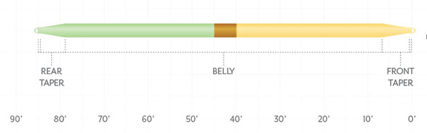 P-28318_Scientific_Anglers_Amplitude_Smooth_Double_Taper_Fliegenschnur_3
