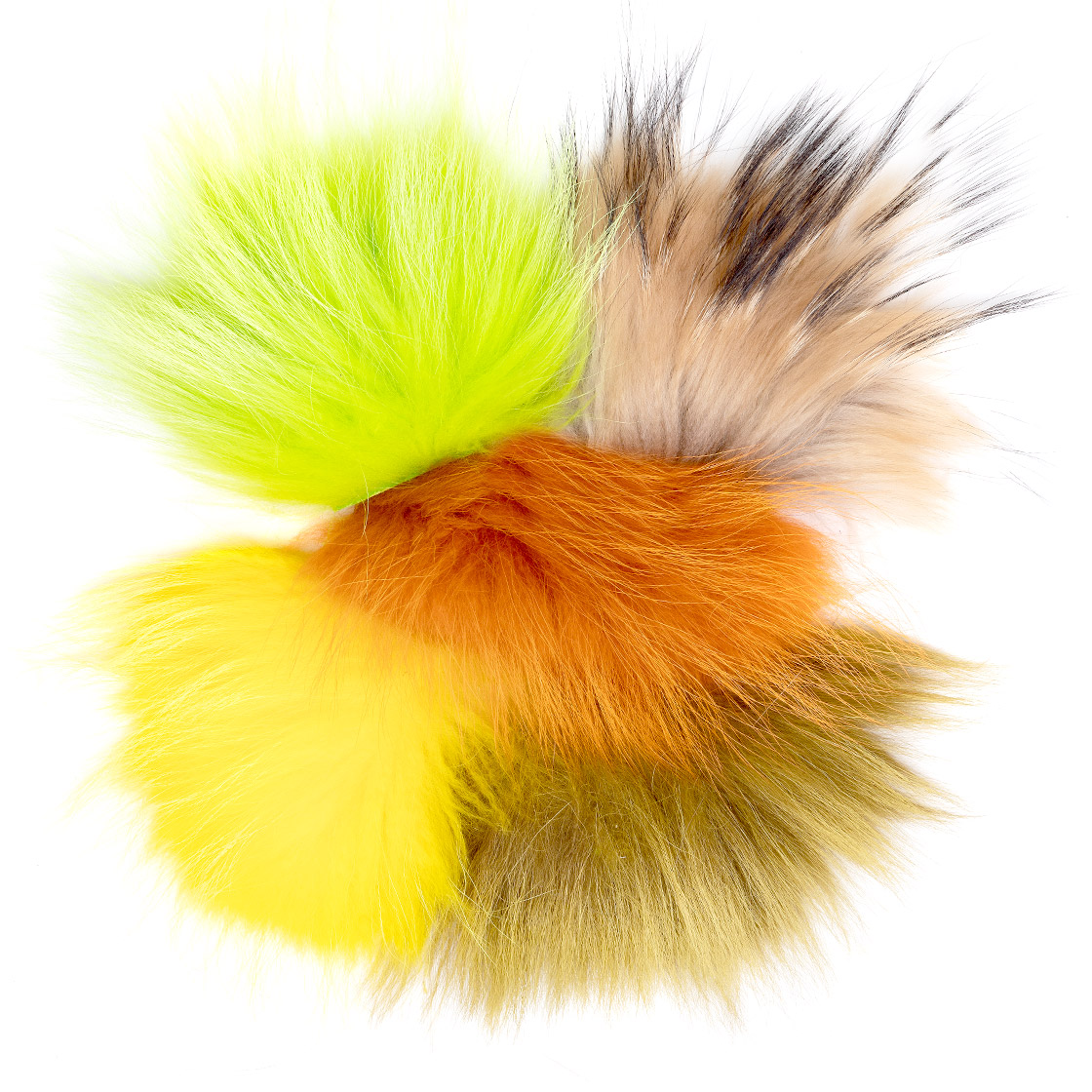 P-03539-Fly-Scene-Tempel-Dog-neuer-titel