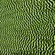 grizzy fluo chartreuse