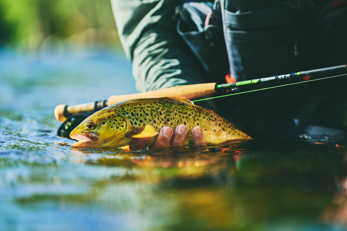 Guideline-Elevation-Nymph-Einhand-Euronymph-Fliegenrute-8
