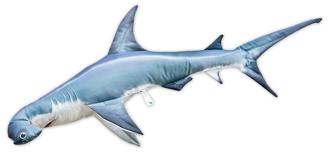 P-29205_Fischkissen_Kuscheltier_Hammerhai_110cm_ganz Fish Pillow Soft Toy Hammerhead Shark 110cm