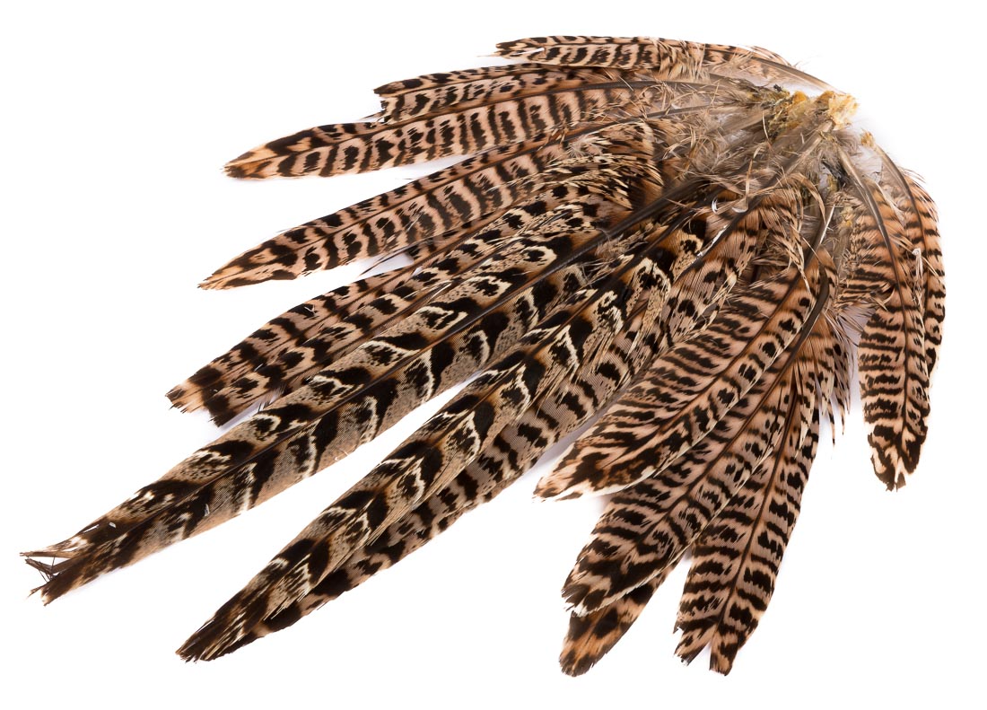 Hareline Ringneck Hen Pheasant Tail Clump