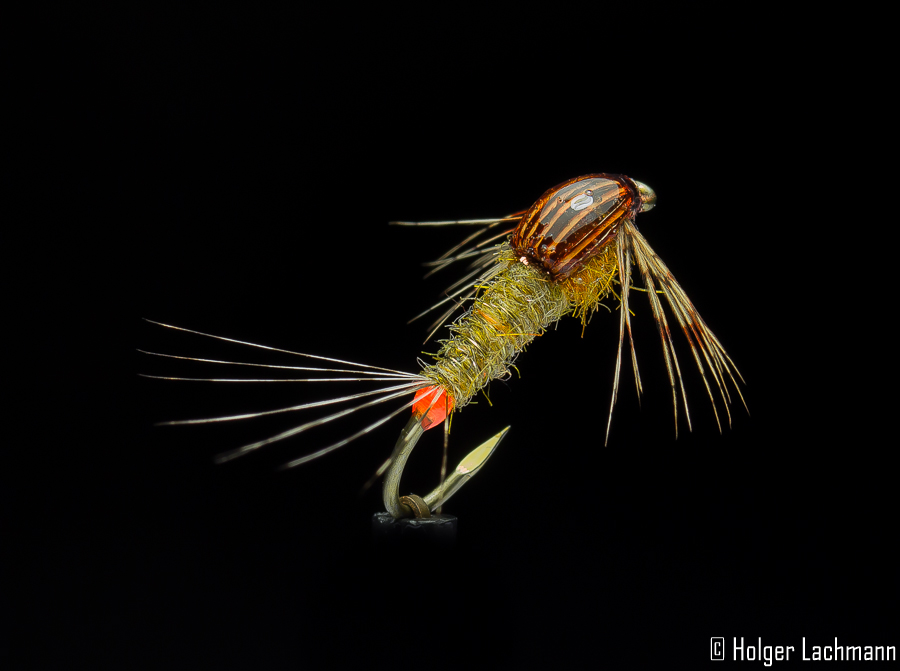 Holger_Lachmann_Whiting_Coq_de_Leon_Beispiele_5 Bindebeispiel