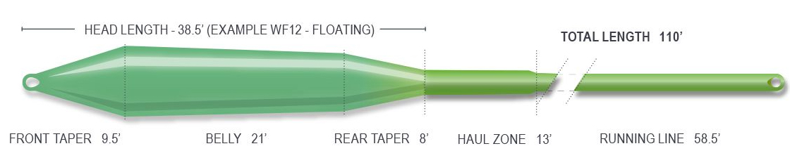 P-21437_Airflo_Superflo_ridge_2-0_GT_Gangsta_Taper_Fliegenschnur_3