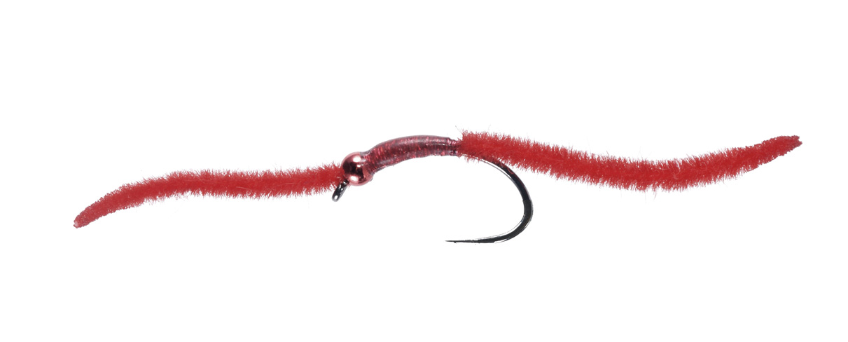 P-21321_Soldarini_Crazy_Pedri-Worm Bindebeispiel