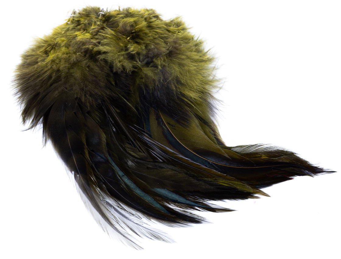 P-15936_Olive olive