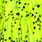yellow chartreuse