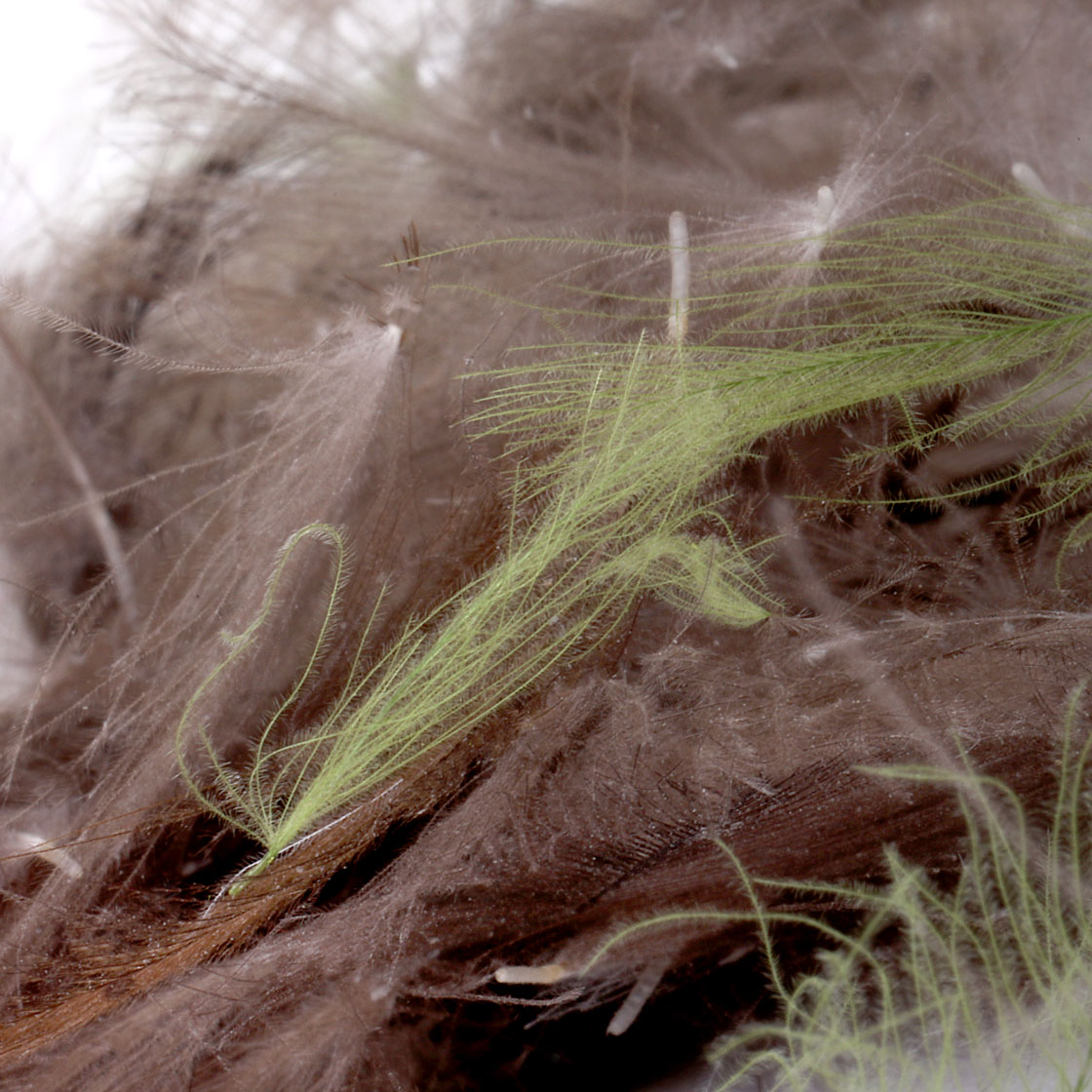 P-24499_fulling-mill_cdc-federn_feathers_bulk-pack_foto-2