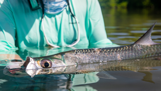 Ready for Saltwater - Part 4: Tarpon