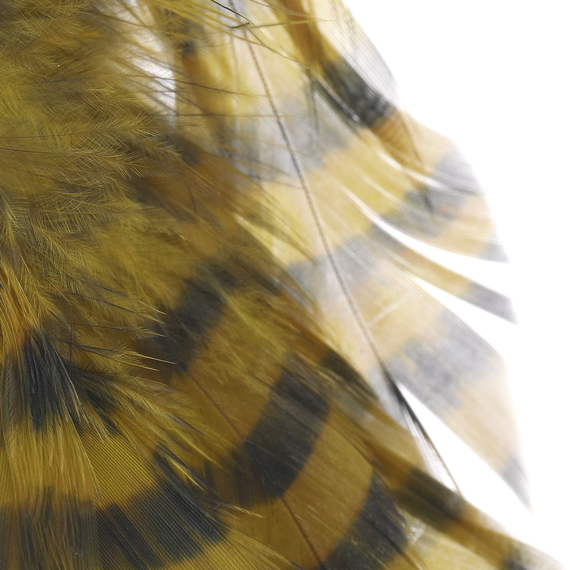 P-27107_MFC-Barred-Schlappen-Grizzly-Schlappen-Federn_detail-2