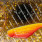 gold flakes fire fin