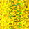 H17 yellow