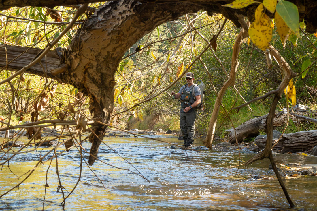 Fishpond_Stormshadow_Chest_Pack_4