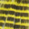 chartreuse & white black barred