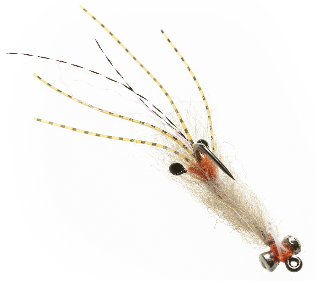 Enrico Puglisi SPAWNING SHRIMP - TAN