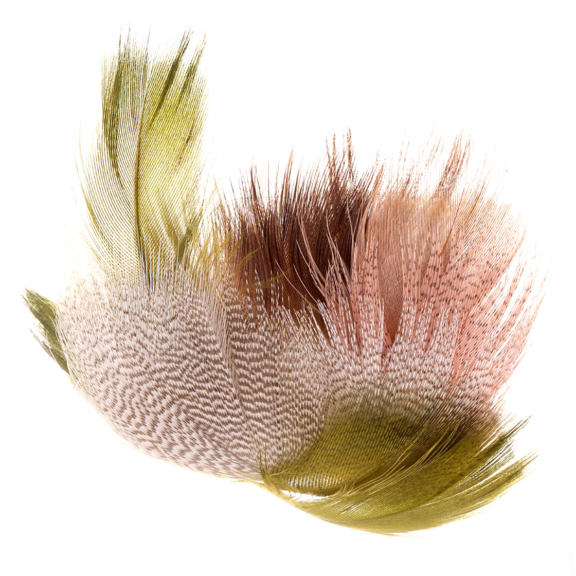 Soldarini Mallard Brest Feathers