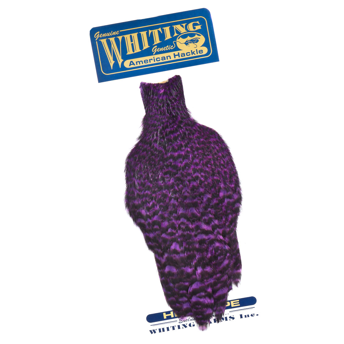 grizzly dyed purple