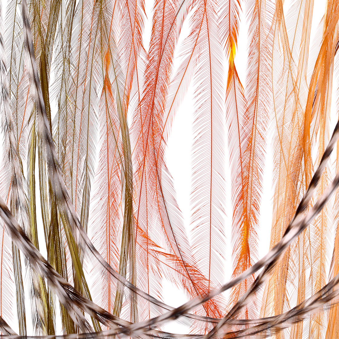 P-25413_Whiting-100-Pk-Size-20_titel Whiting 100 Pk Size 20