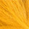 009 golden carrot