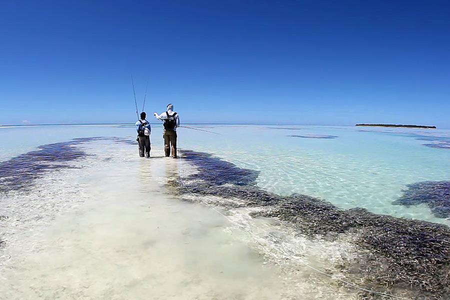 desroches6 - Reise-Tipp: Desroches Island