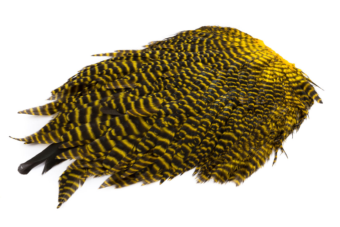 yellow grizzly