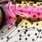 rainbow trout