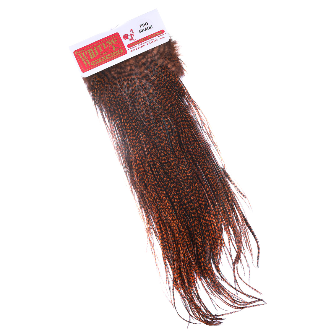 grizzly brown