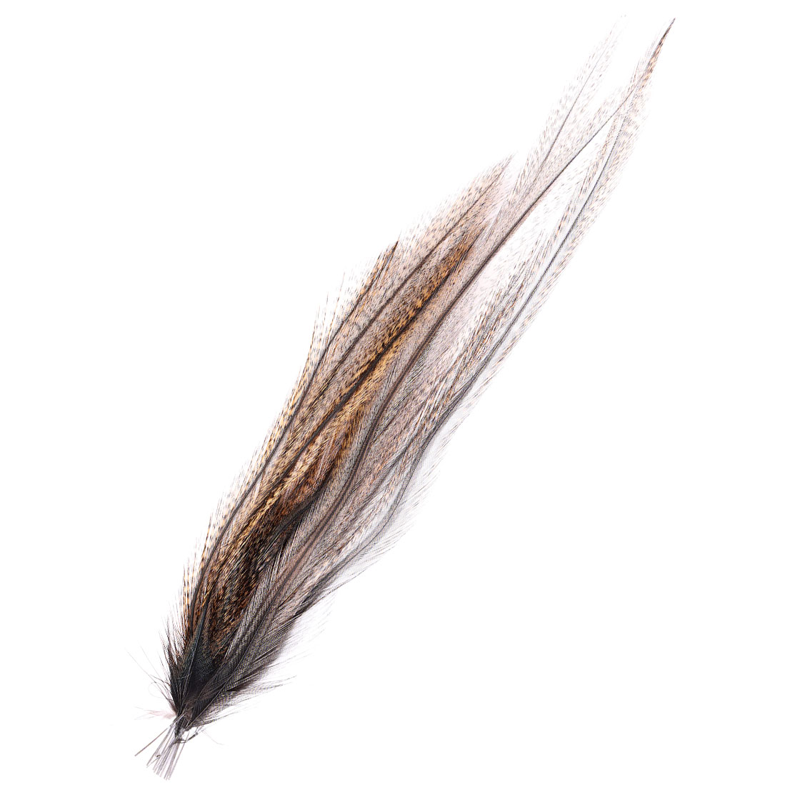 P-21234-5_fly-scene_coq-de-leon_saddle-substitute_pardo-corzuno-oscuro pardo corzuno oscuro