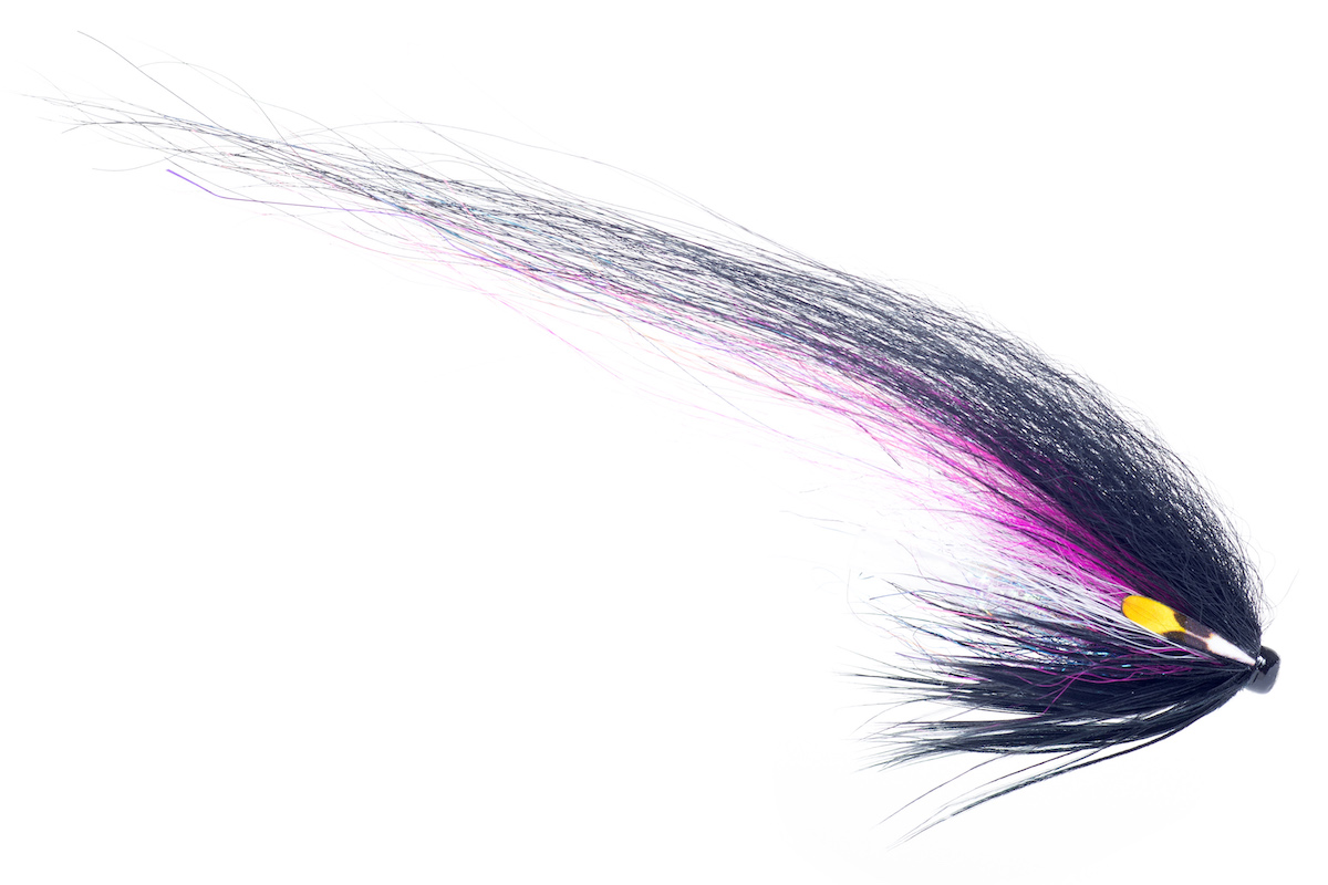 Guideline_Tubenfliege_Hajas_Andersson_The_Neck_Med_FL Bindebeispiel