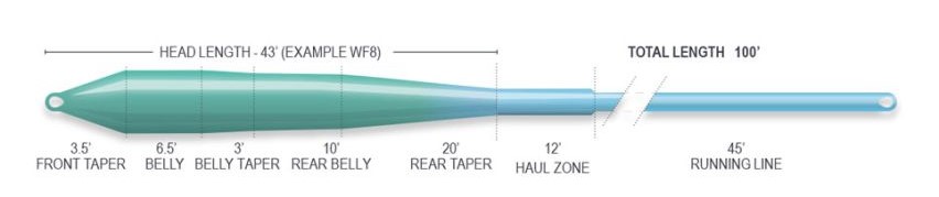 P-28933_Airflo_Ridge_2-0_Flats_Universal_Floating_Power_Core_Tropical_Saltwater_Fliegenschnur_SkyCloud_2