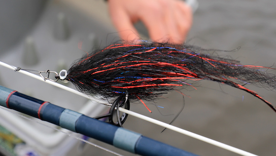 Tying Video 'Bleeding Black Baitfish' Pike Streamer by Martin Rieck
