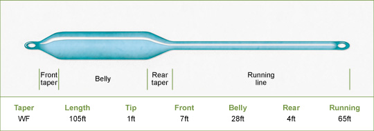 Taper
