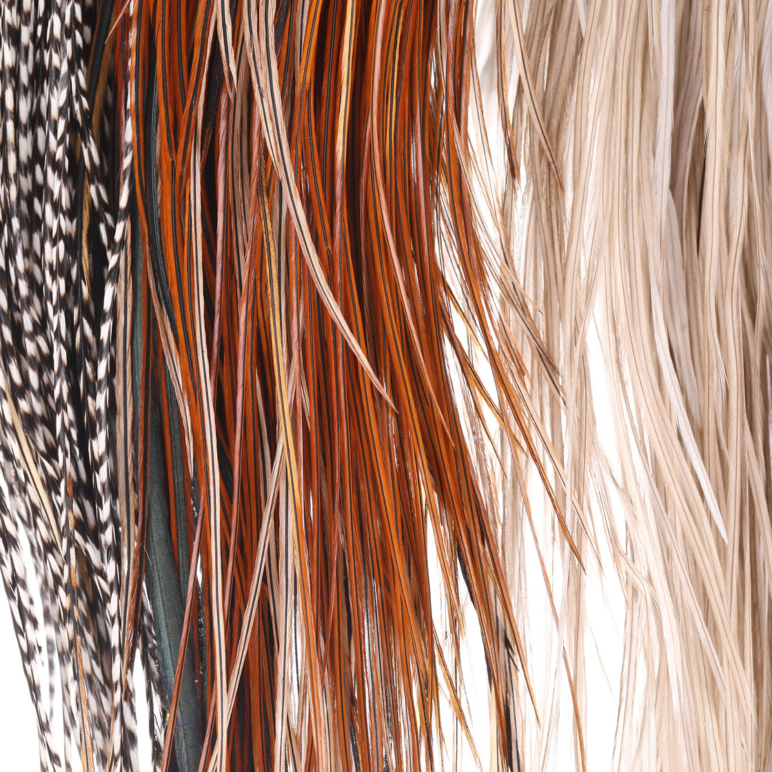 P-25398_Whiting-Introductory-Hackle-Pack-Four-1_2-Saddles_detail_