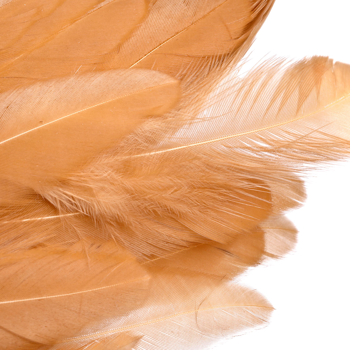 P-25432_Whiting-Rooster-SH-C_detail_5