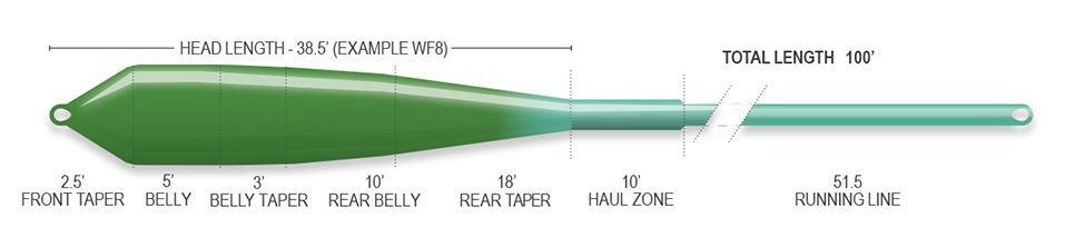 Airflo_Superflo_Ridge_2-0_Flats_Power_Taper_Fliegenschnur_Floating_3