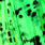 chartreuse green