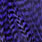 grizzly purple