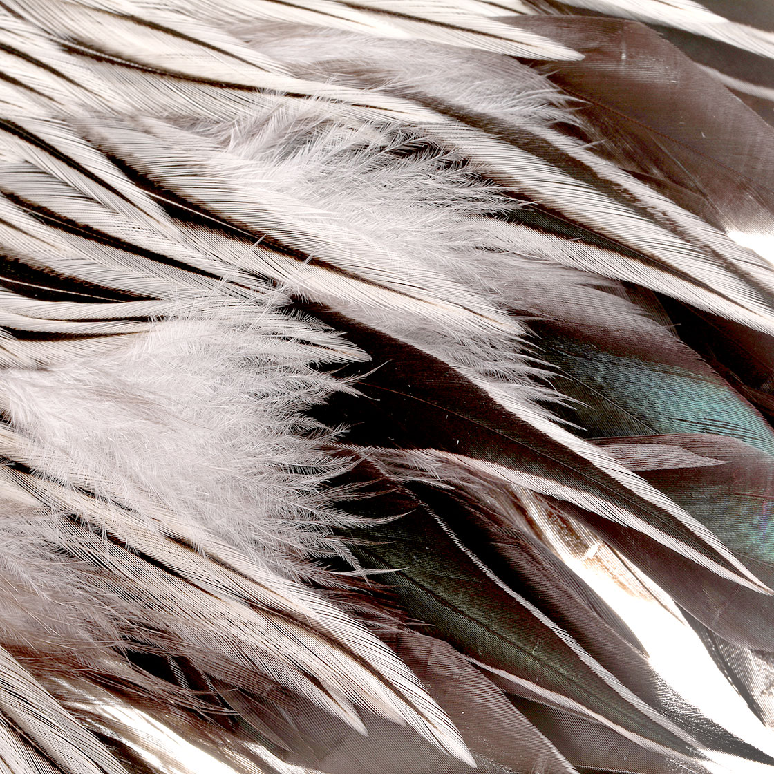 P-28065_Whiting-Brahma-Rooster-Saddle-Badger_detail-1