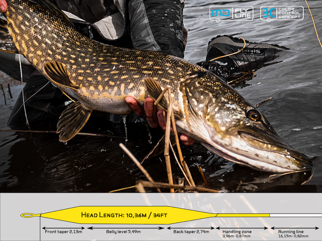 P-19080_Arcticsilver_MD_BEast_Fliegenschnur_Floating_Taper
