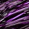 black violet
