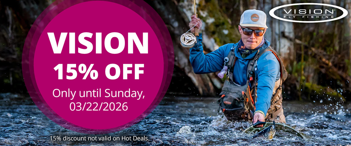 15% off VISION until 3/22