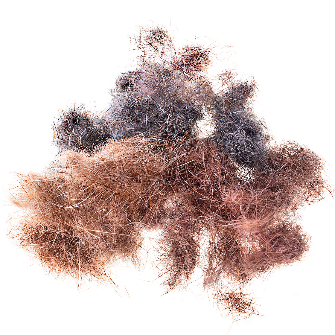 P-05485-SwissCDC-Arctic-Fur-Dubbing-titel-neu