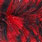 black / red