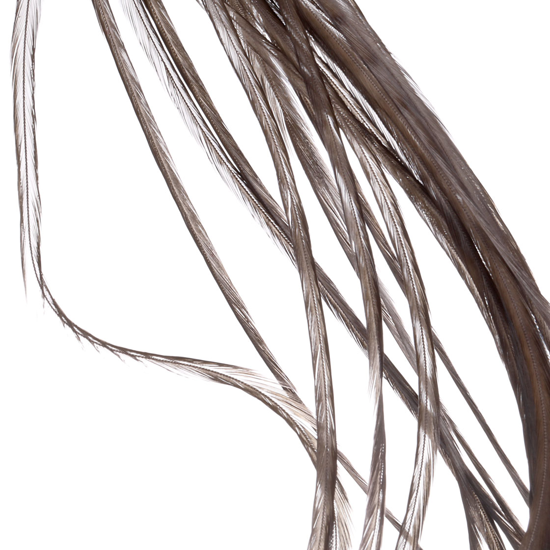 P-25408-3_Whiting-100-Pk-Size-10_white-dyed-dark-dun white dyed dark dun