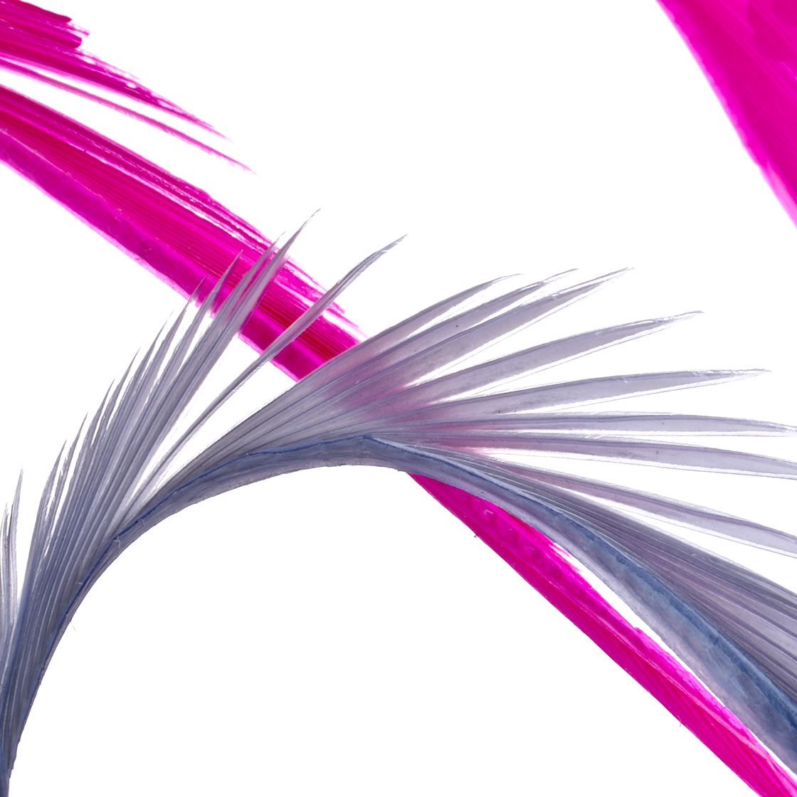 P-11650_Veniard-Ganse-Goose-Biotsdetail