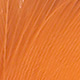 burnt orange