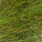caddis green