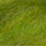 caddis green