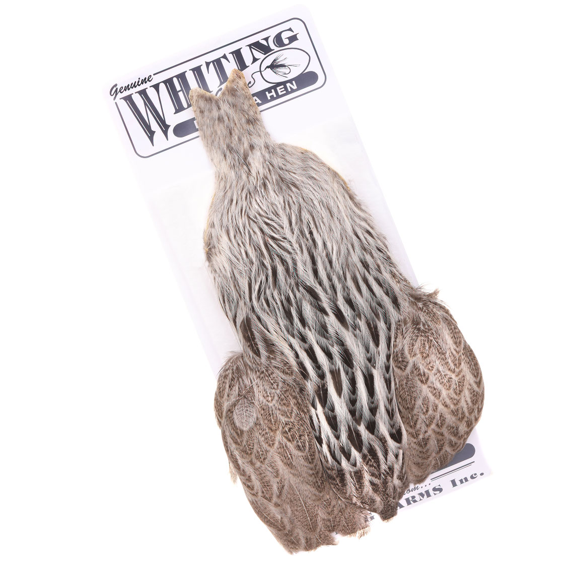 P-28064_Whiting-Brahma-Hen-Cape-Cream-Badger Whiting Brahma Hen Cape Badger